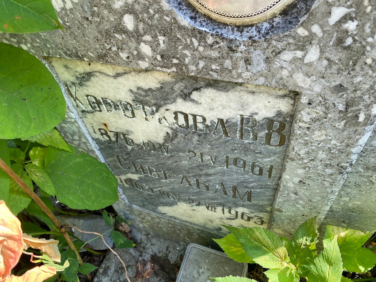 В Короткова В