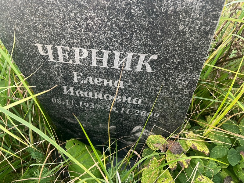 Черник