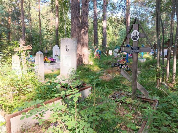 Матвеев Михаил Николаевич