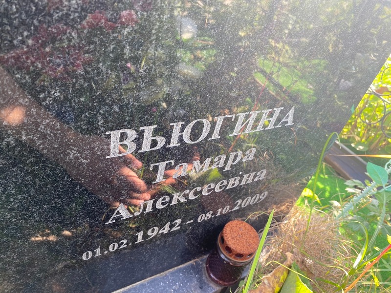 Вьюгина