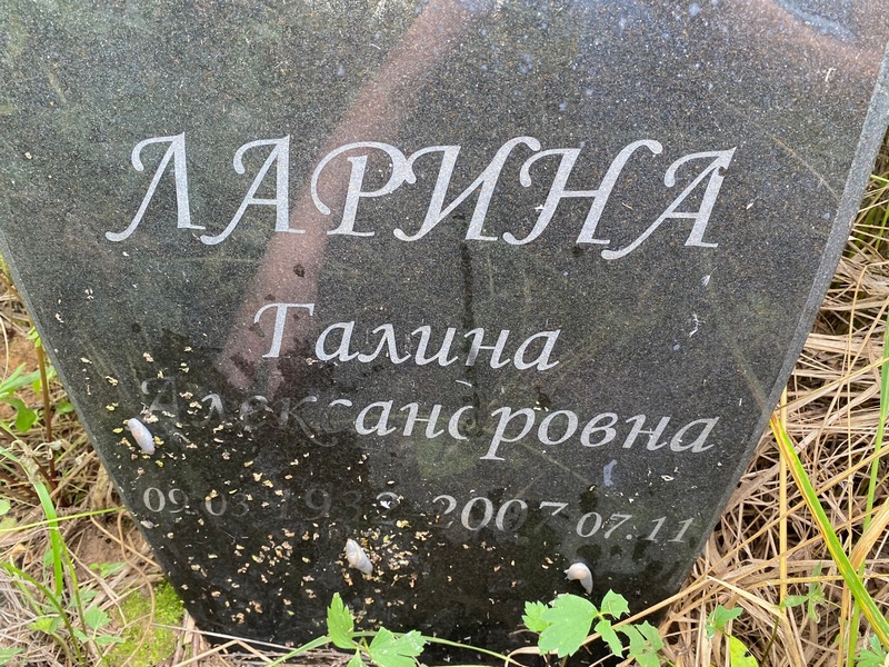 Ларина
