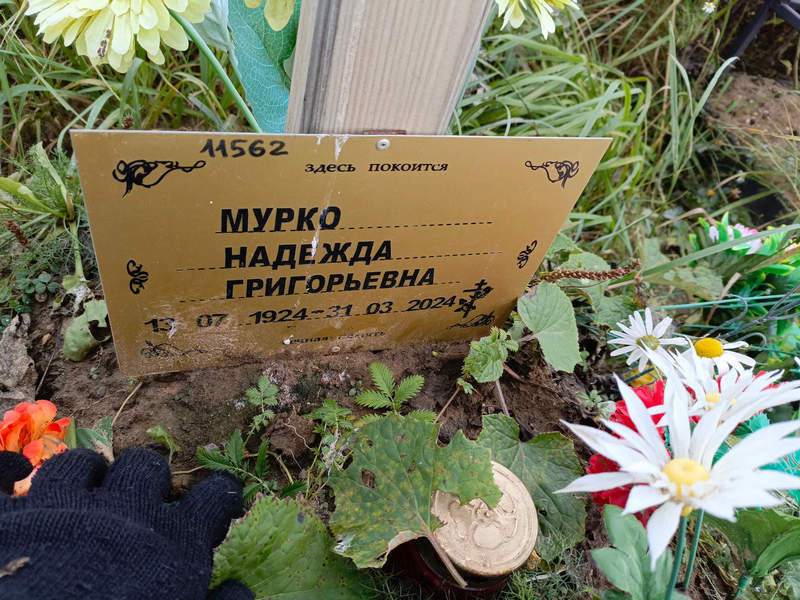 Мурко
