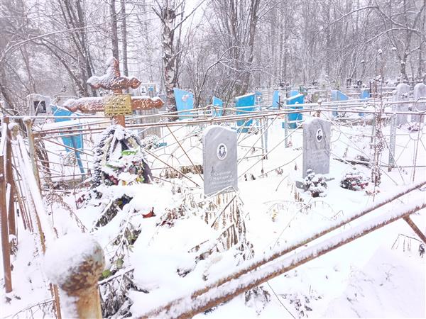 Сырцева Маргарита Анатольевна