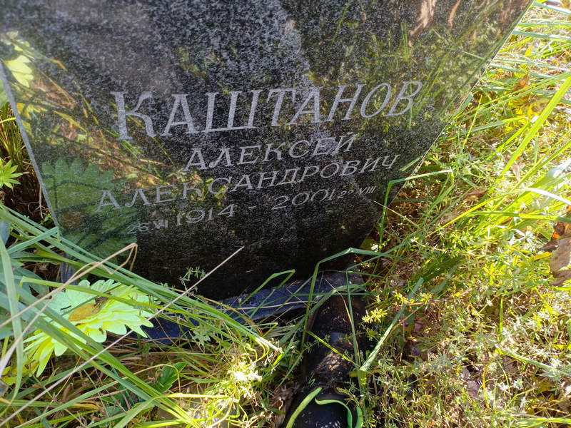 Каштанов
