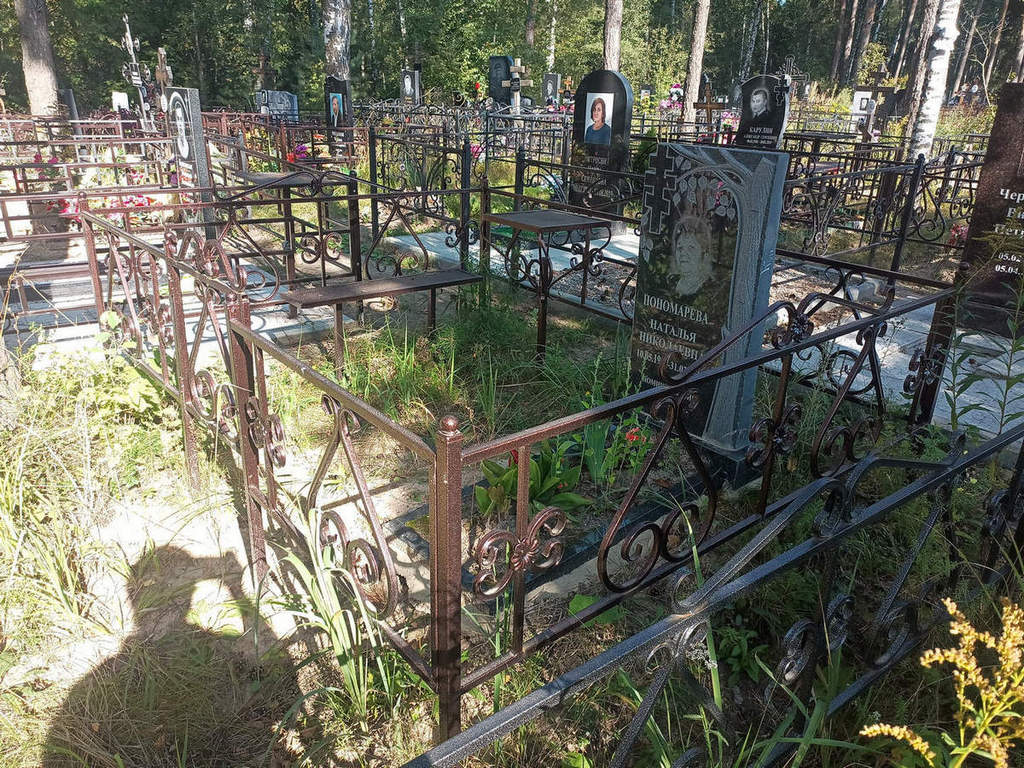 Пономарева Наталья Николаевна