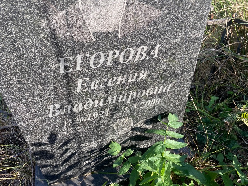 Егорова Евгения Владимировна