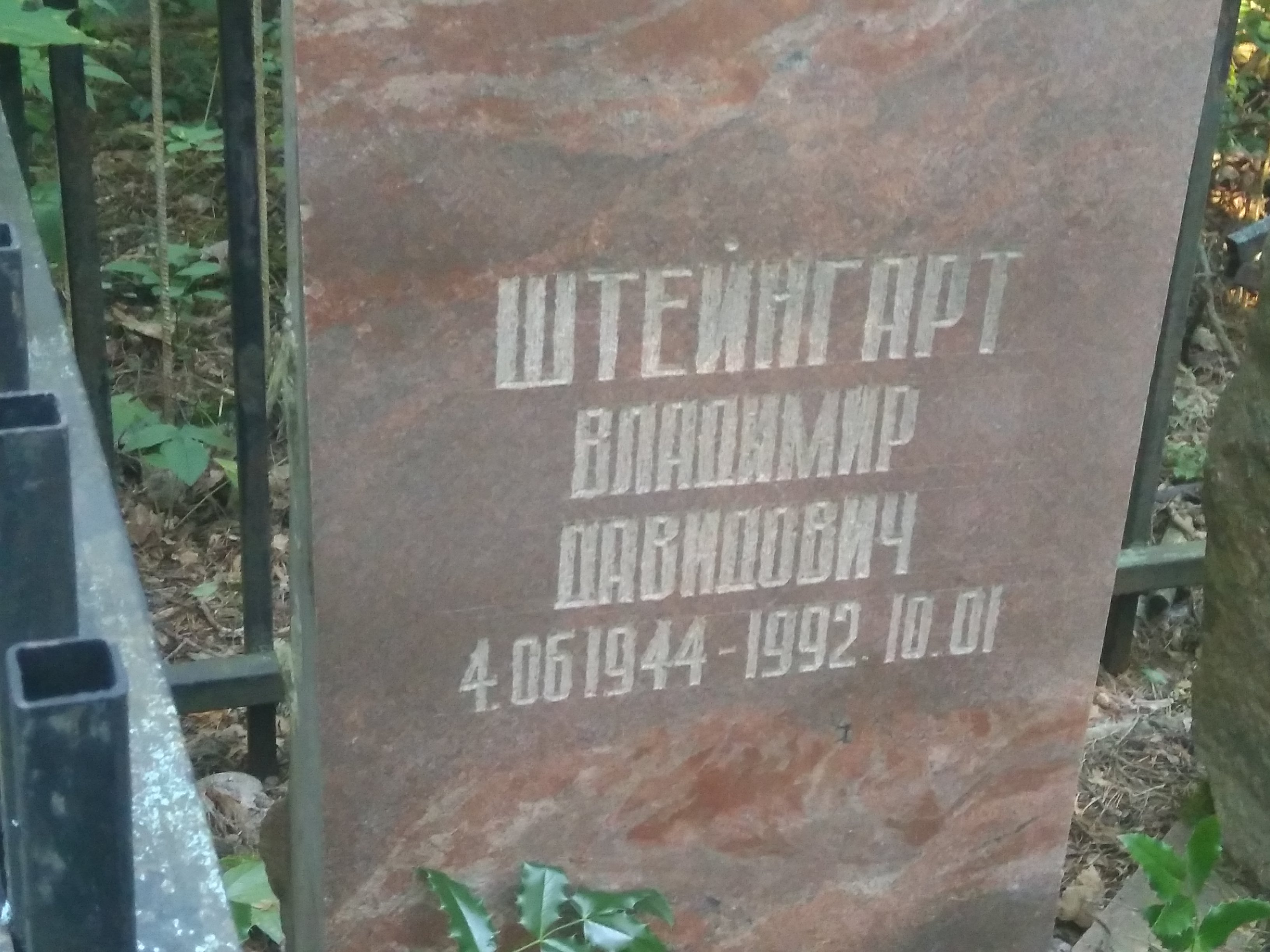 Штейнгард Владимир Давидович