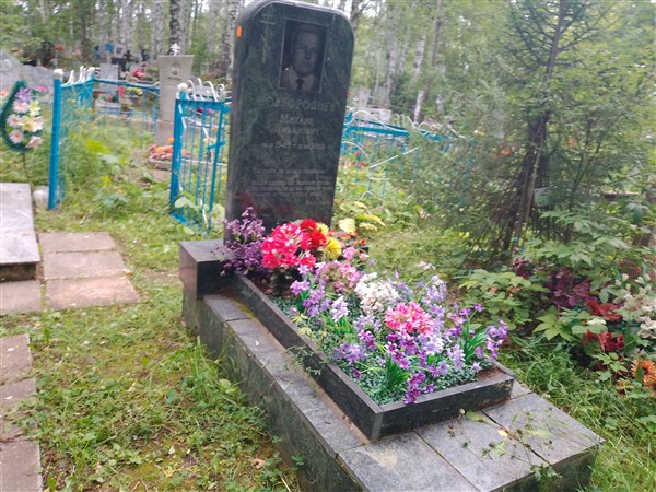 Новгородцев Михаил Демьянович