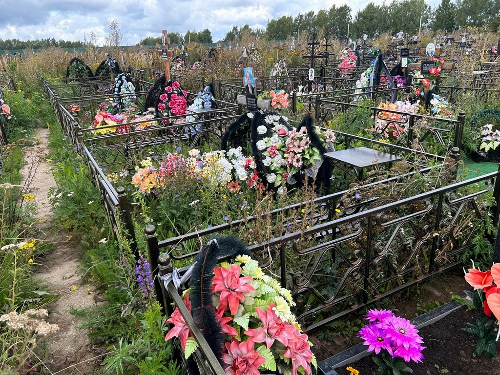 Самсонов Виталий Аркадьевич