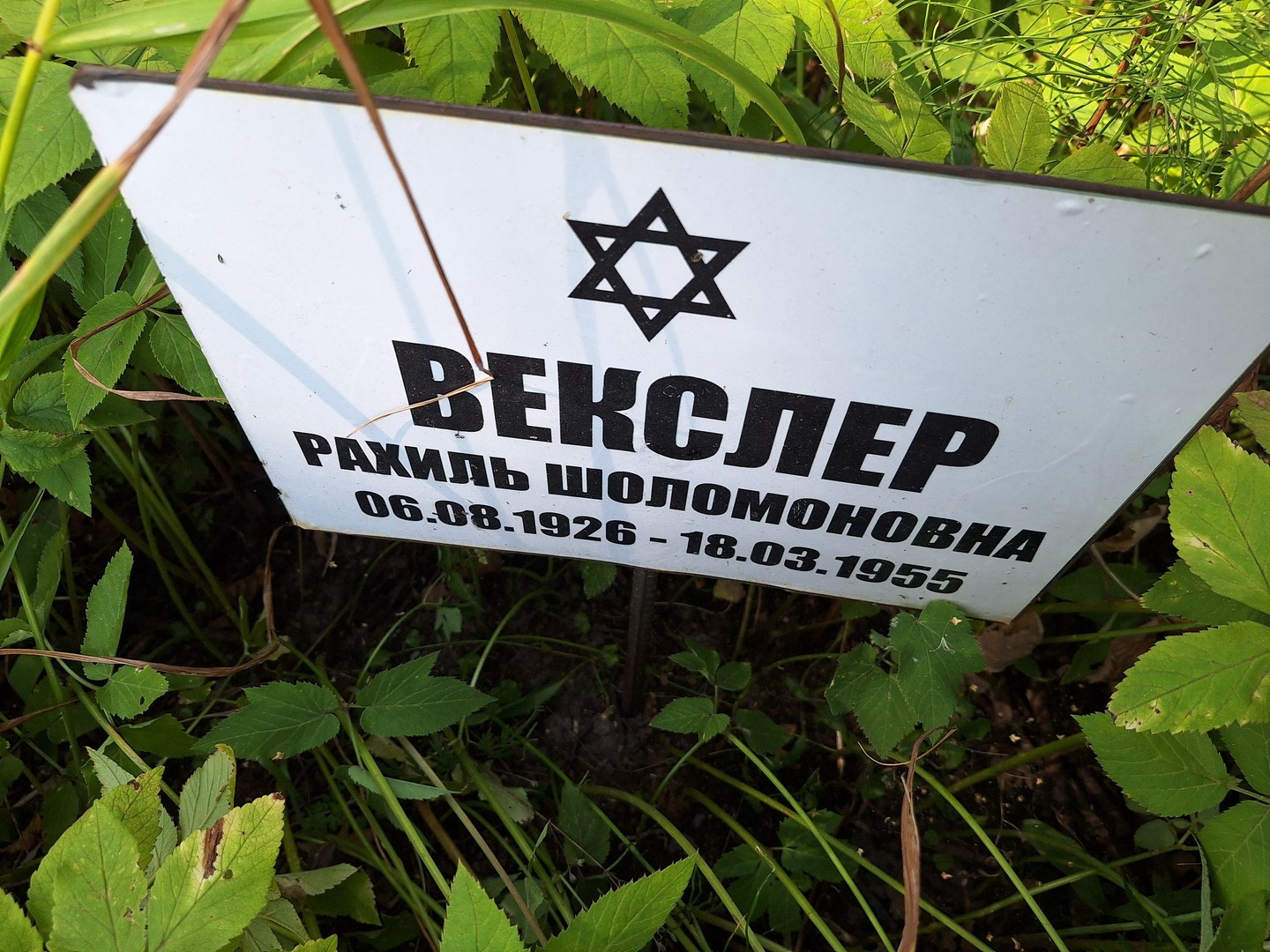 Рахиль Векслер Шоломоновна