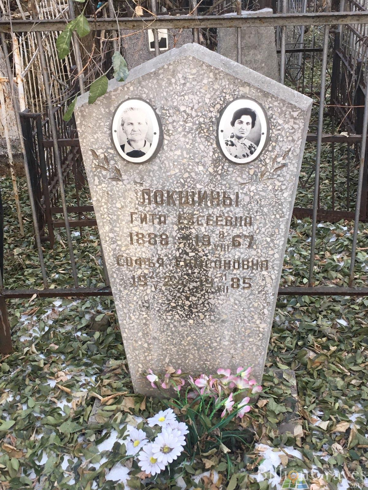 Локшина Гита Евсеевна