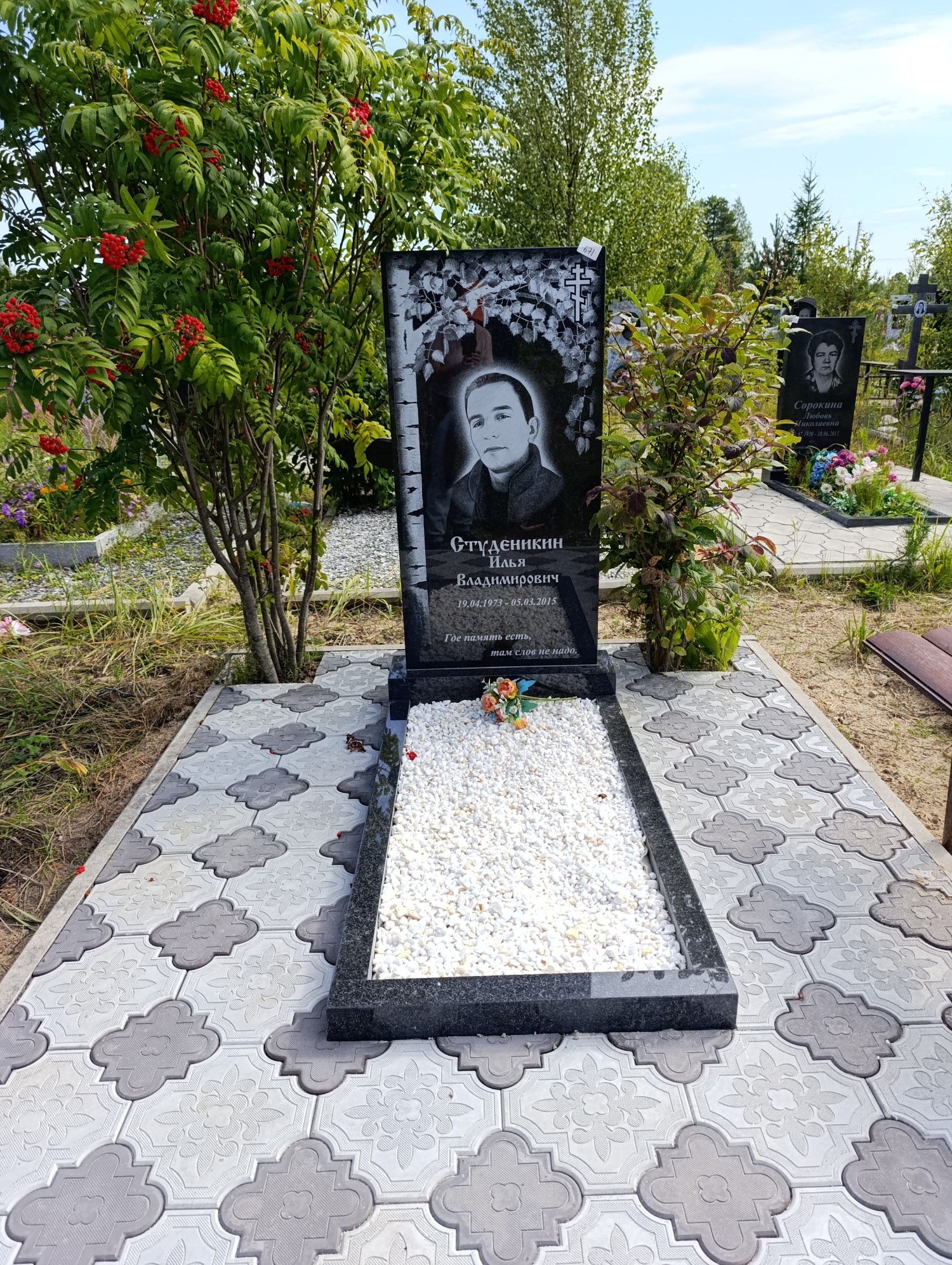 Студеникин Илья Владимирович