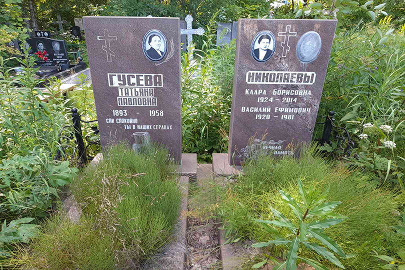 Николаев Василий Ефимович