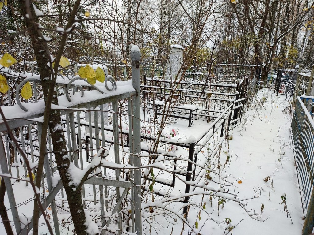 Смеховская Анна Георгиевна