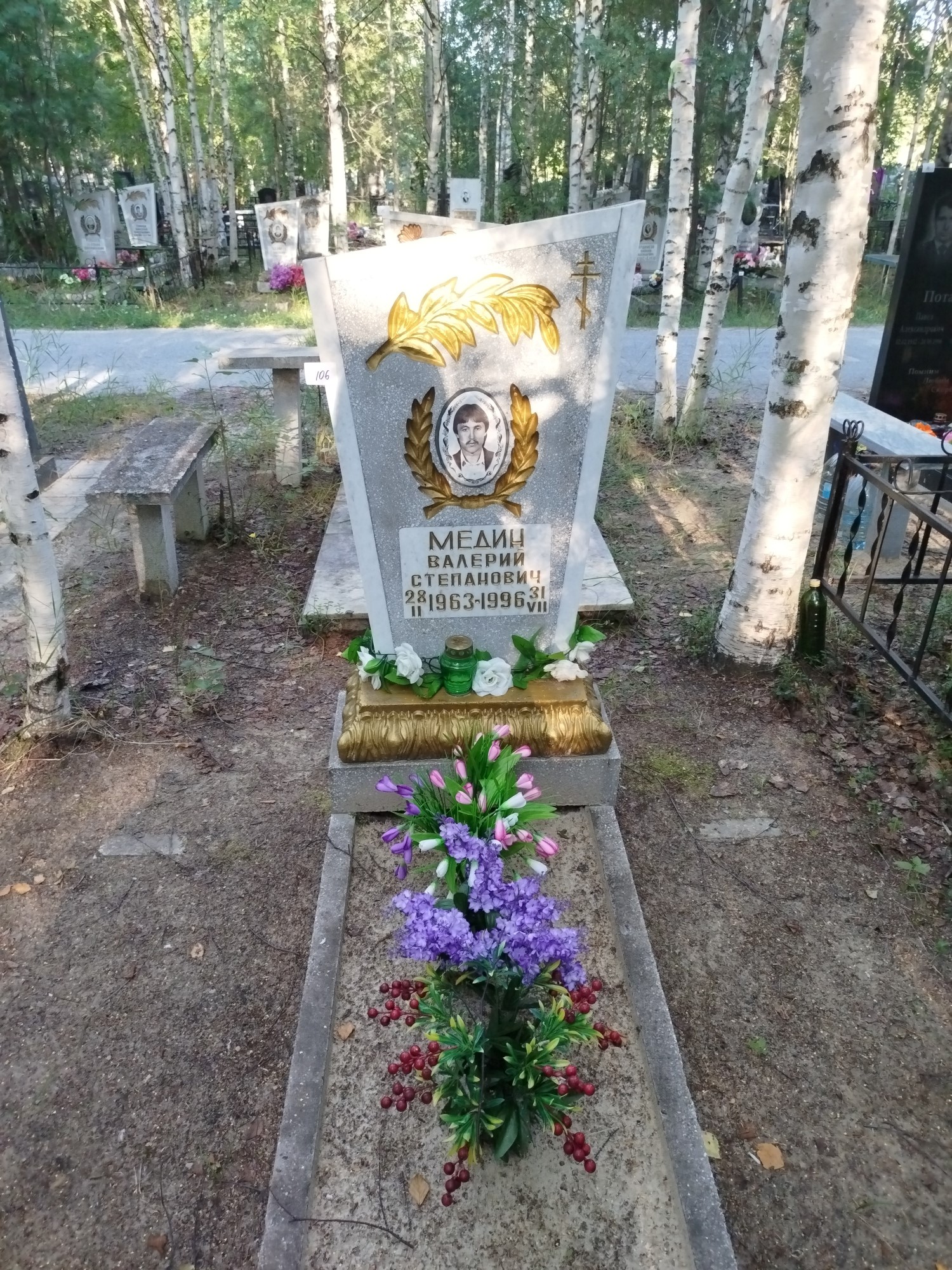 Медин Валерий Степанович