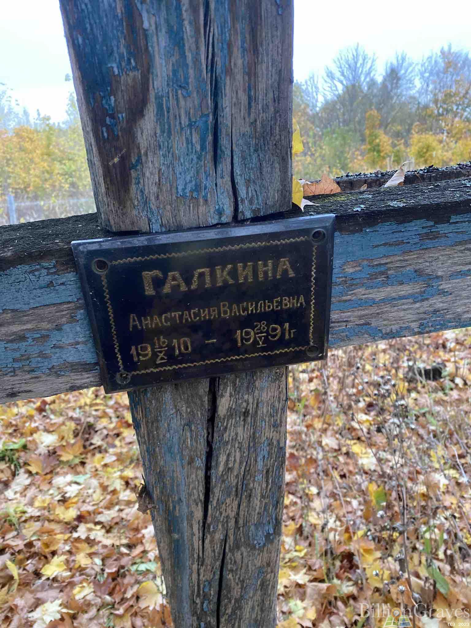 Галкина Анастасия Васильевна