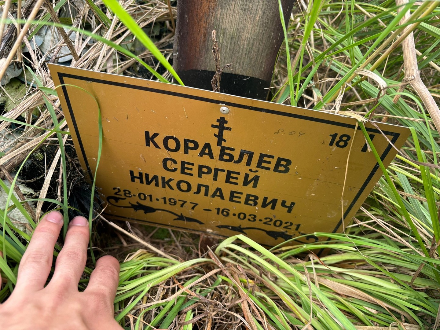 Кораблев