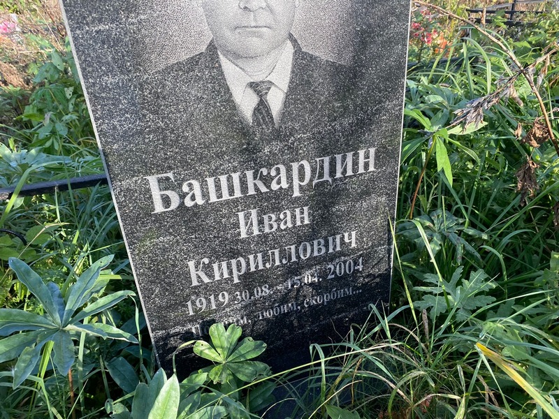 Башкардин