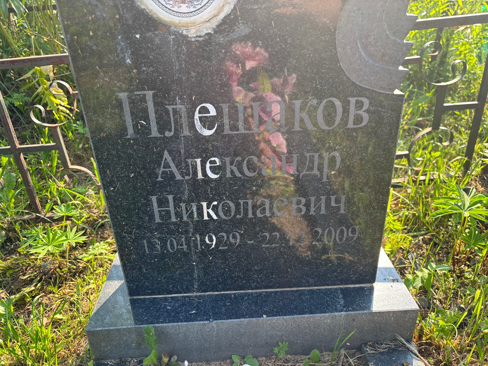 Плешаков