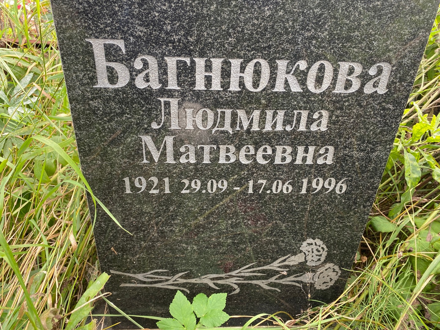 Багнюкова