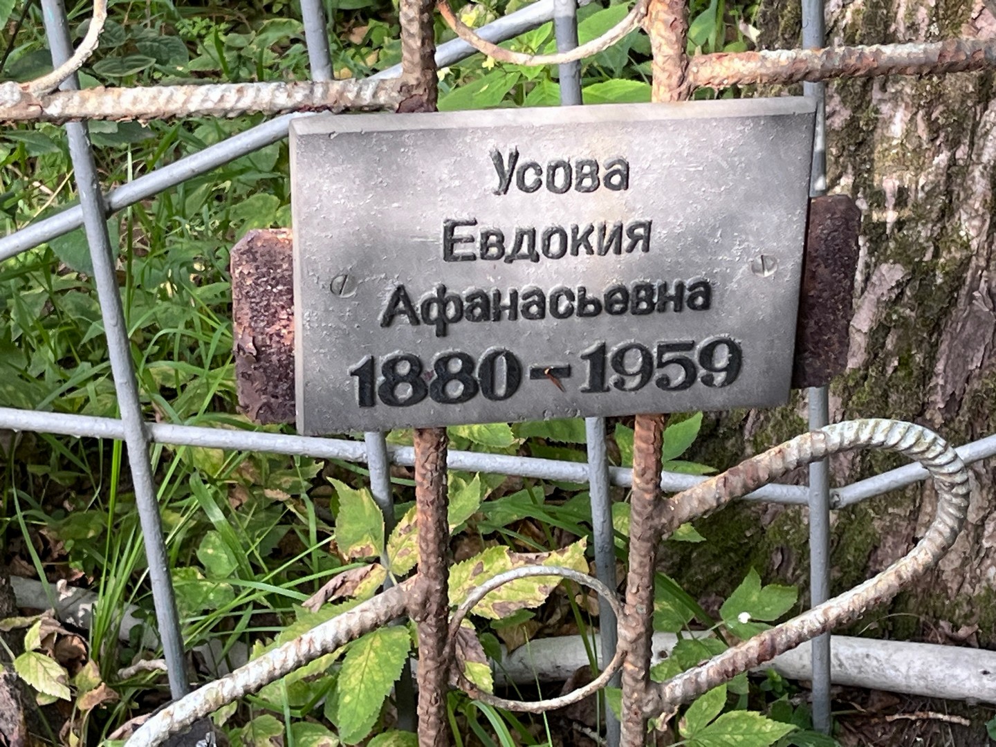 Усова