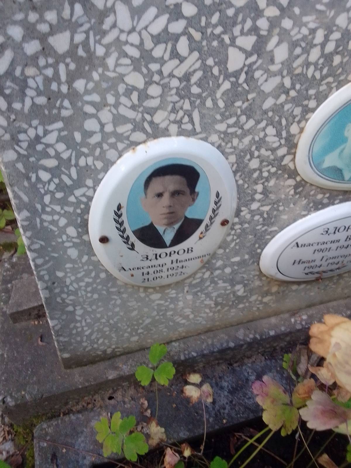 Здоров Александр Иванович