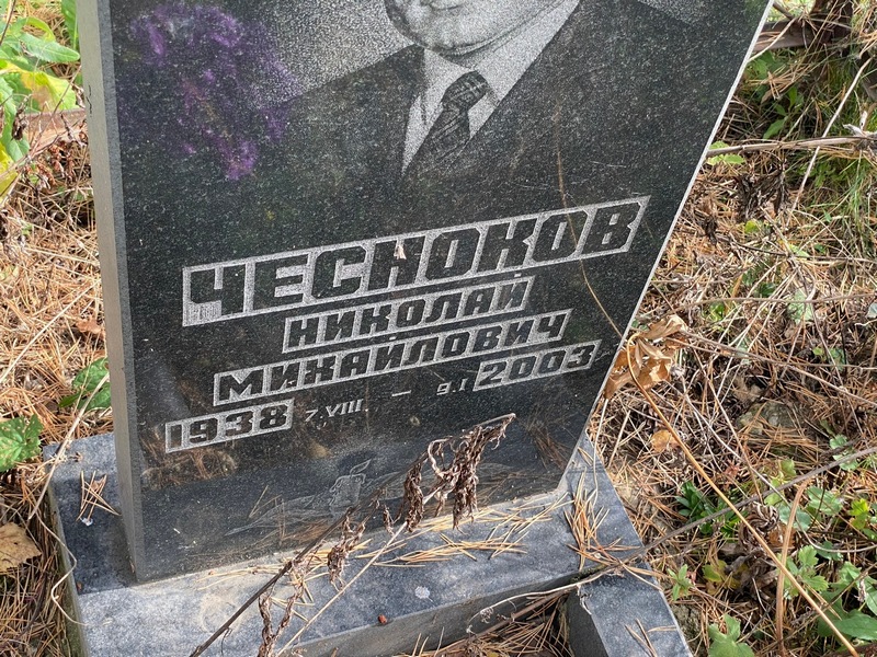 Чесноков