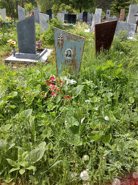 Розинова Л. К.