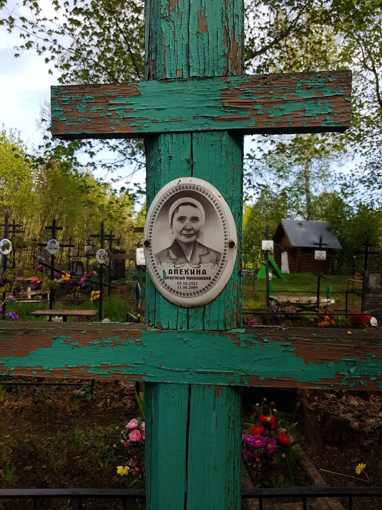 Апекина Анастасия Николаевна