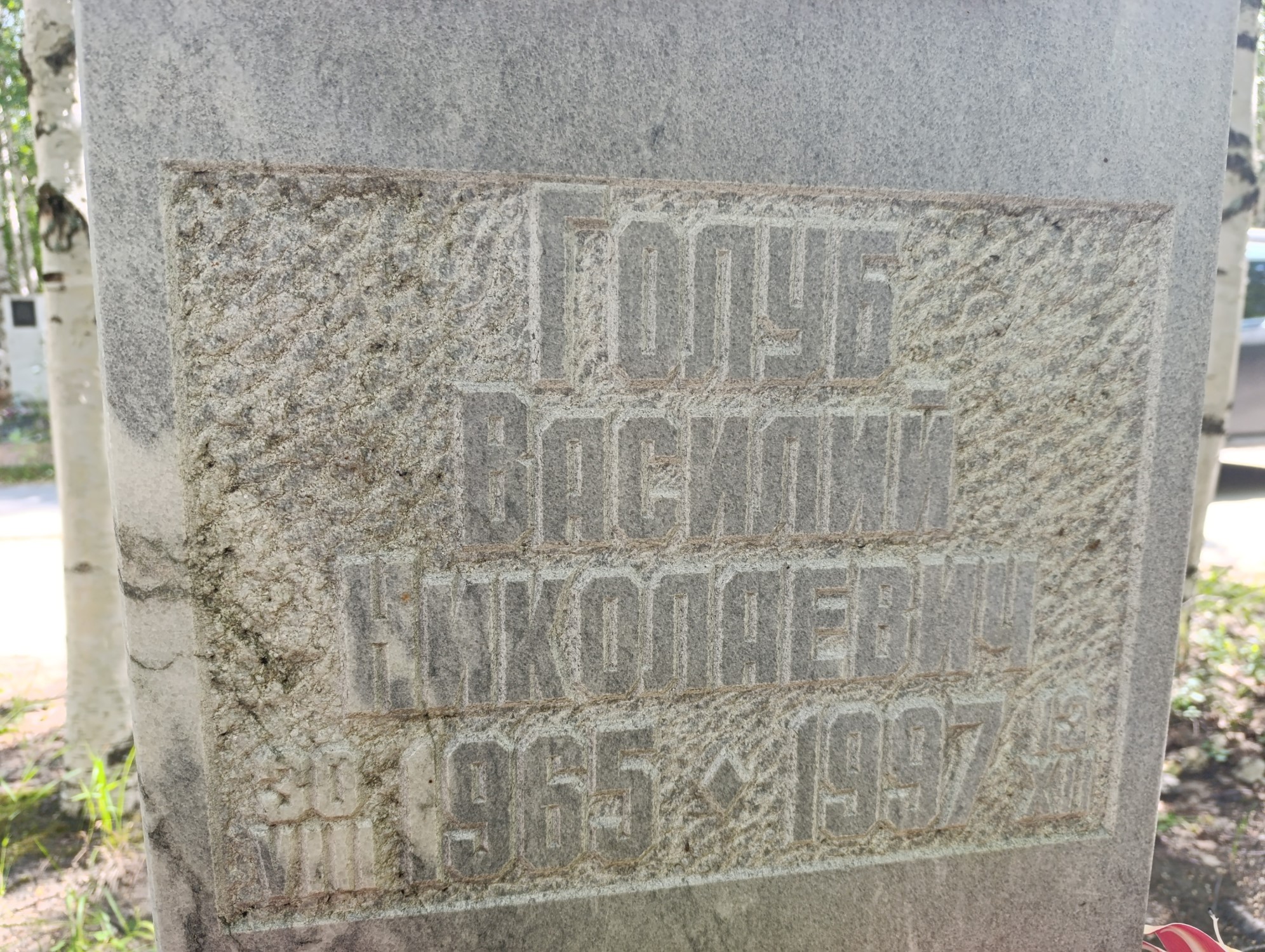 Голуб Василий Николаевич