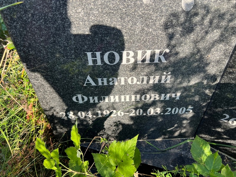 Новик