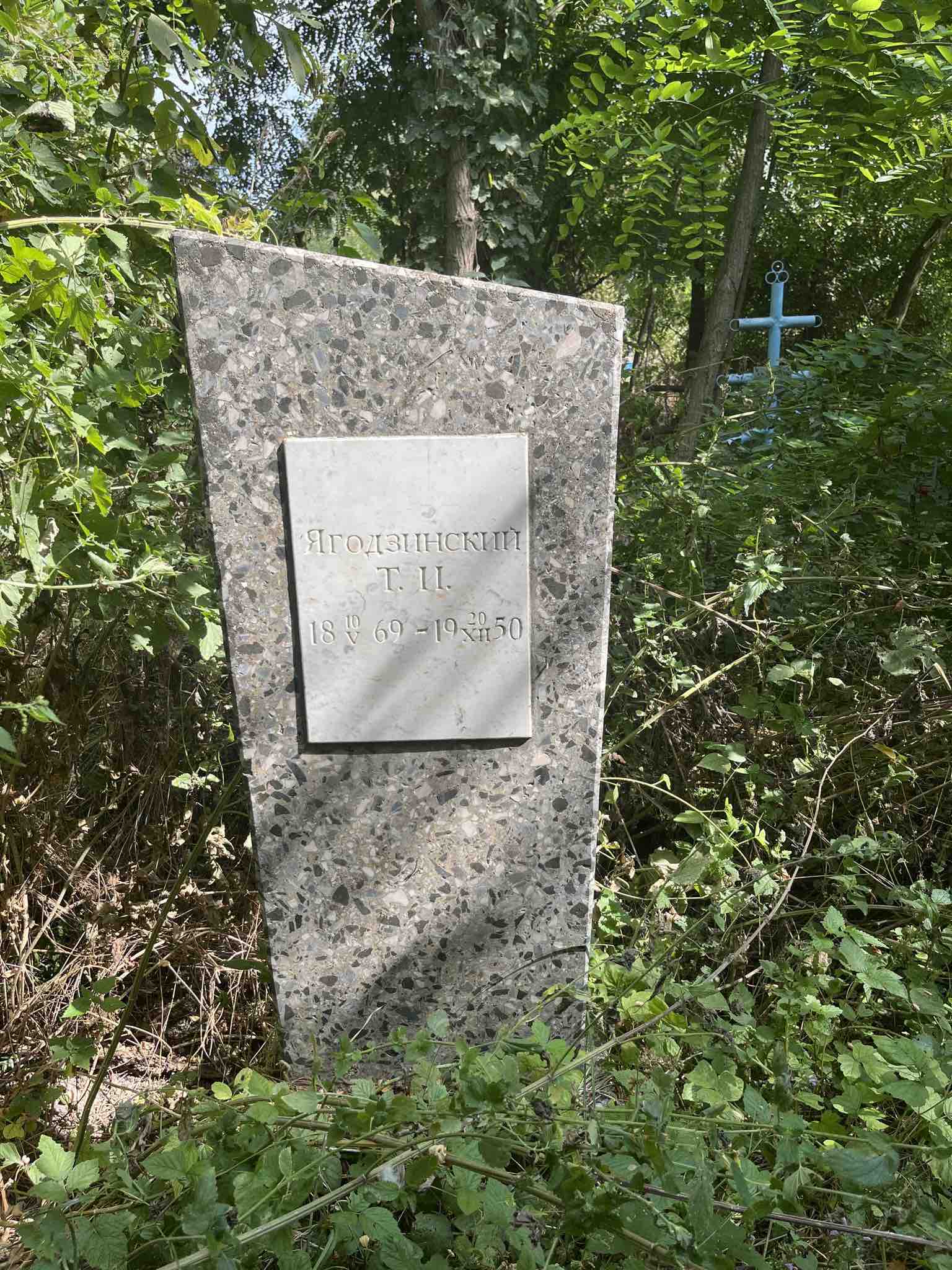 Ягодзинский Т. И.