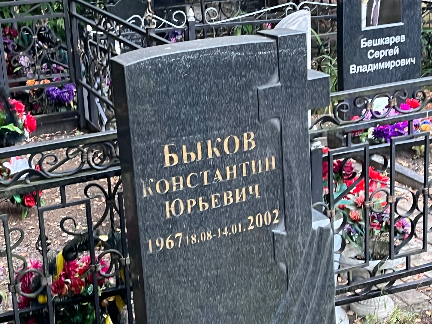 Быков