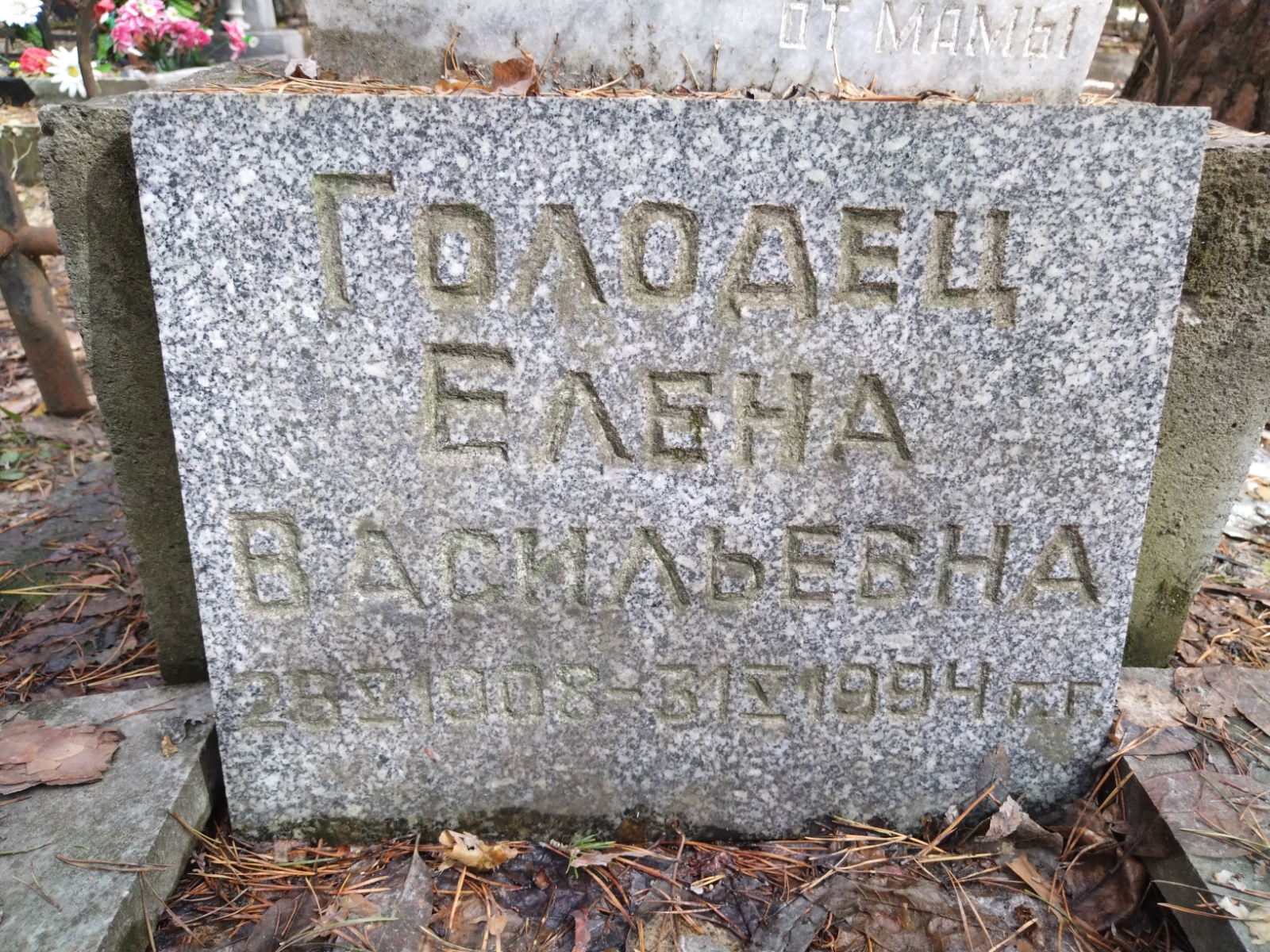 Голодец Елена Васильевна
