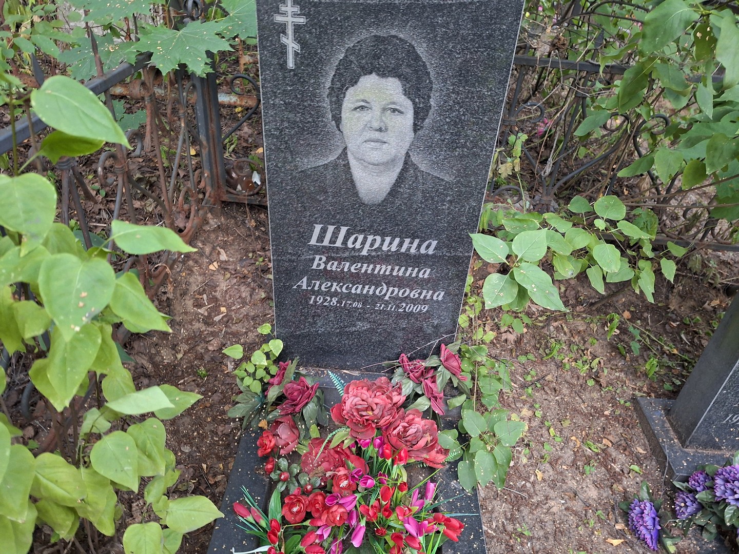 Шарина