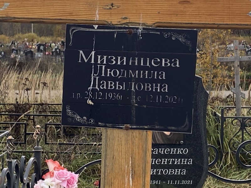 Мизинцева