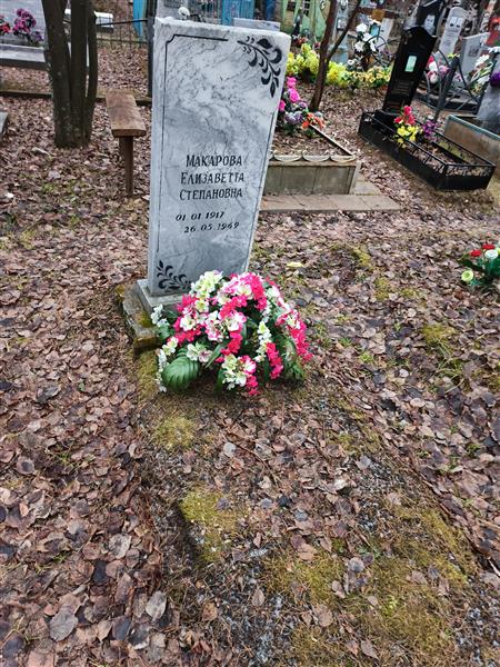 Макарова Елизавета Степановна