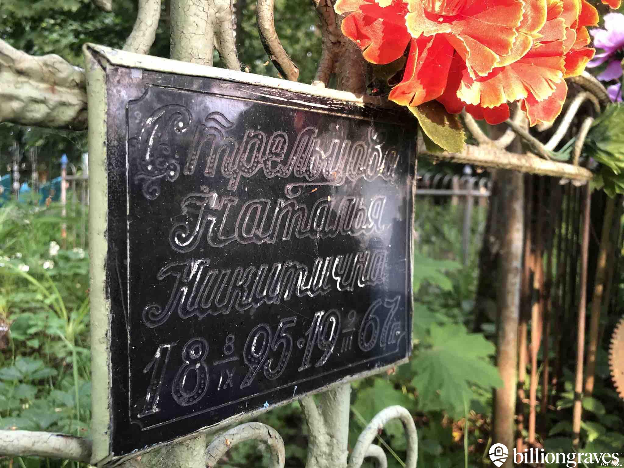 Стрельцова Наталья Никитична