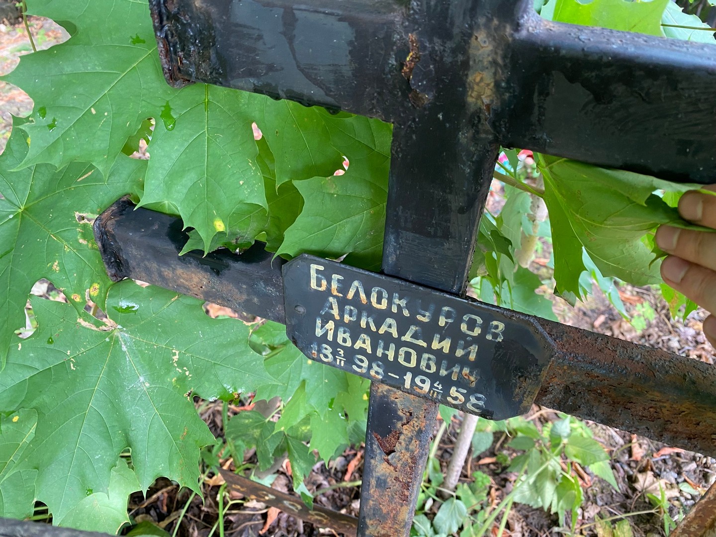 Белокуров
