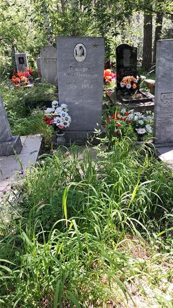 Глинских Анна Павловна