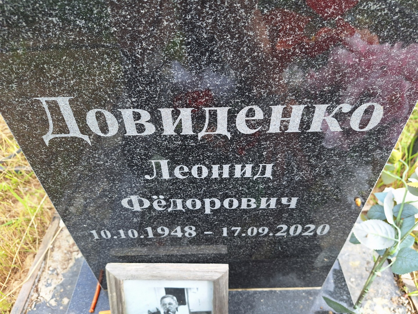 Довиденко