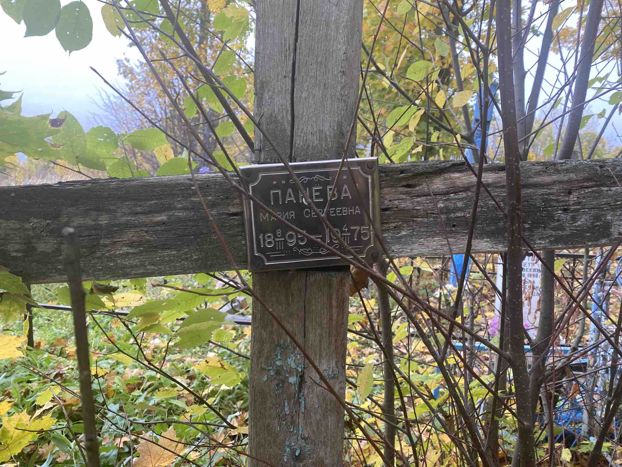 Панёва Мария Сергеевна