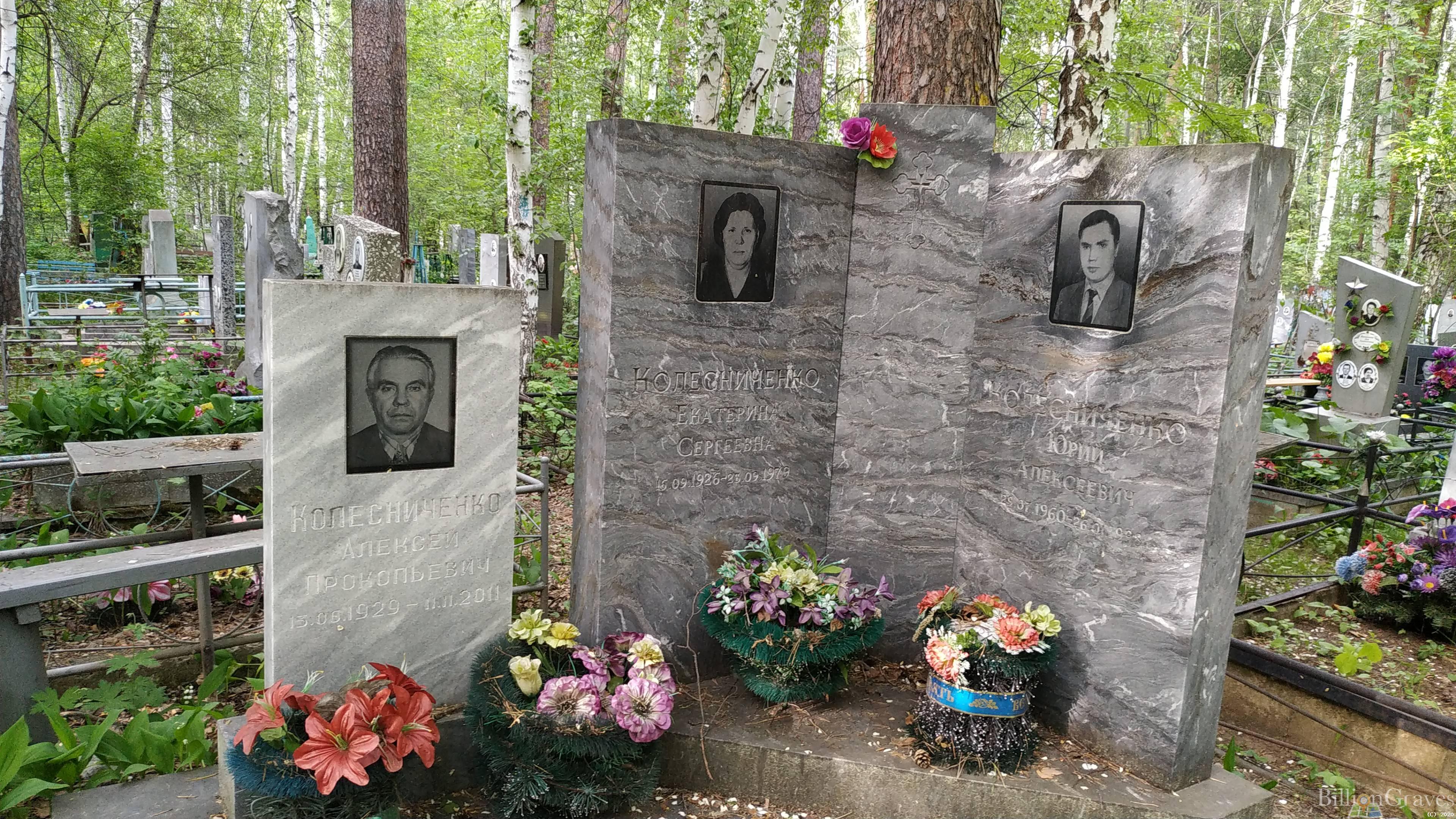 Колесниченко Екатерина Сергеевна