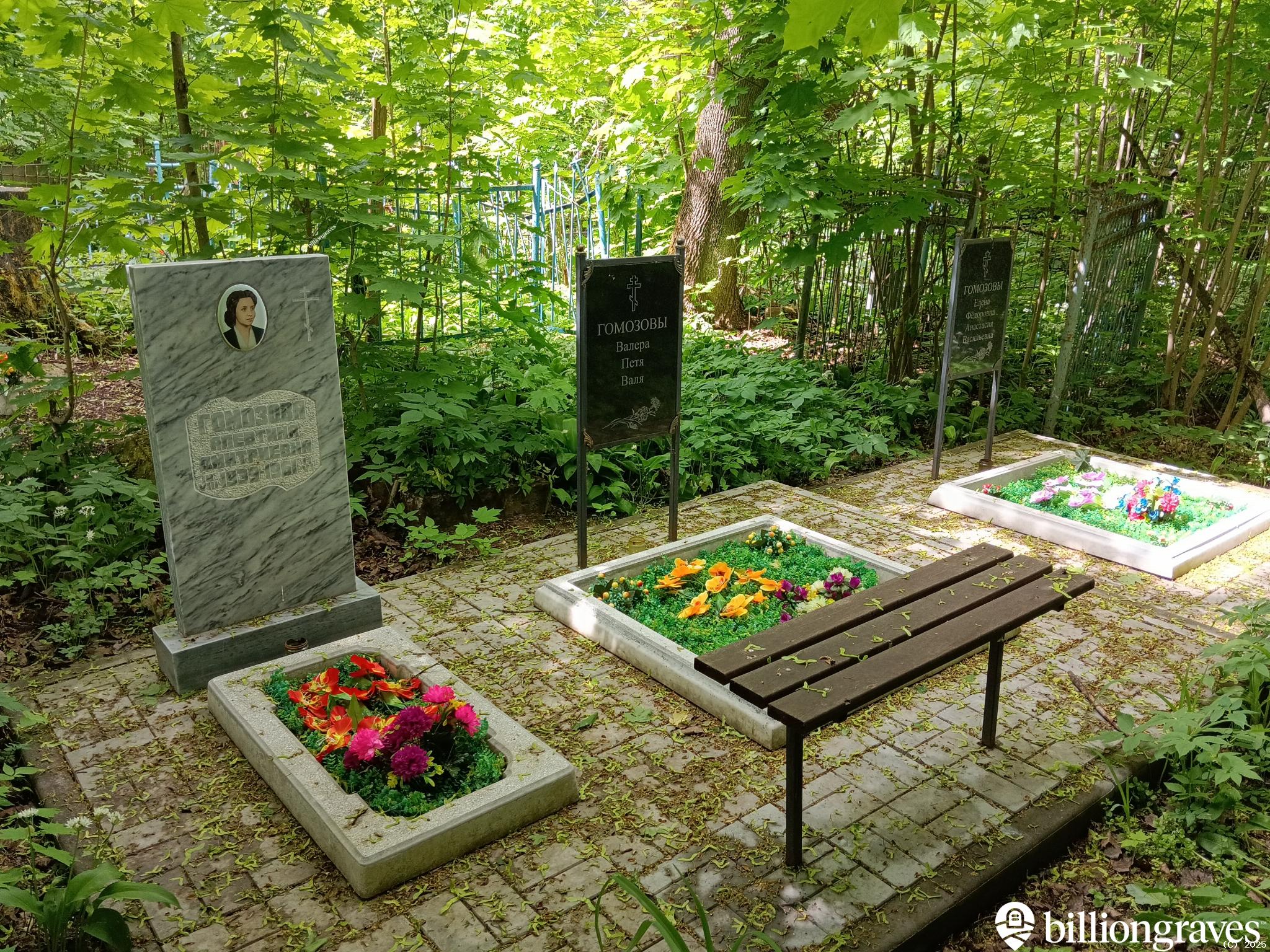 Гомозова Алевтина Дмитриевна