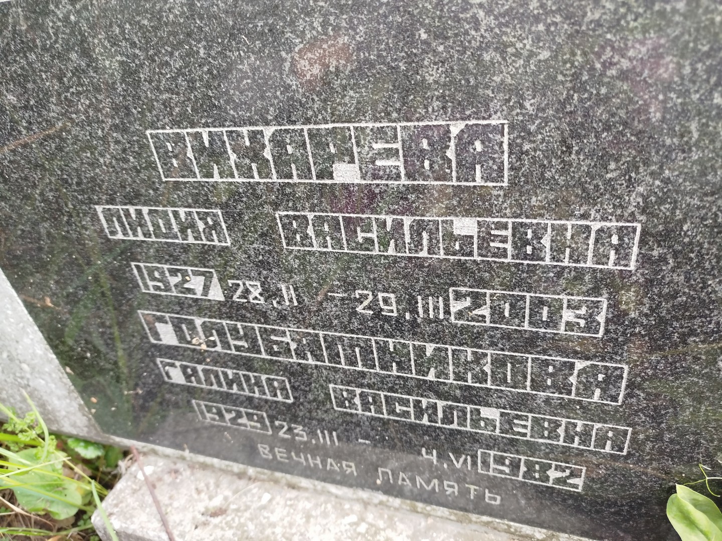 Вихарева