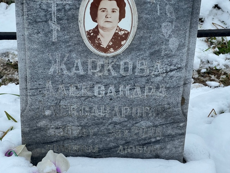 Жаркова Александра Александровна
