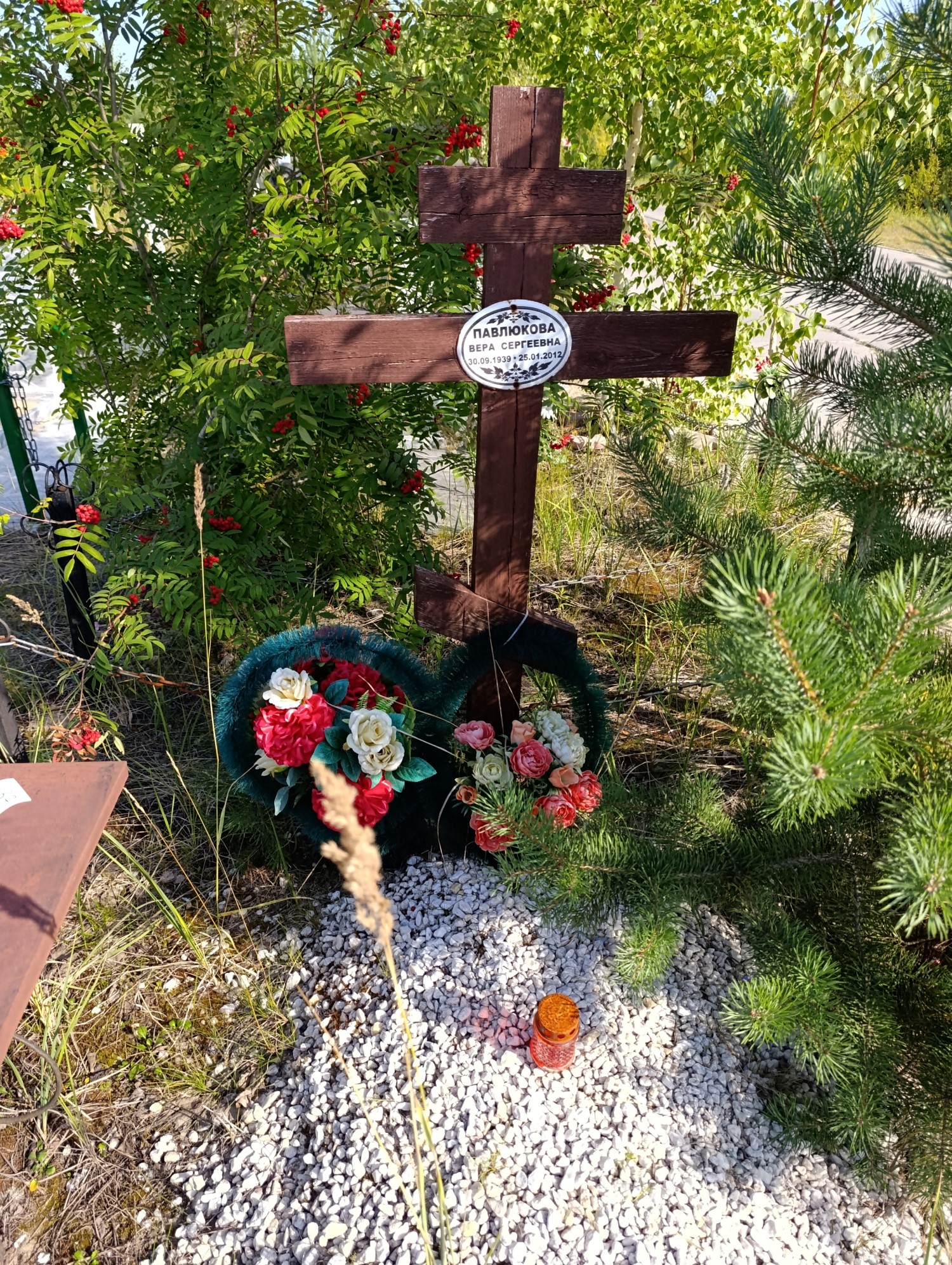 Павлюкова Вера Сергеевна