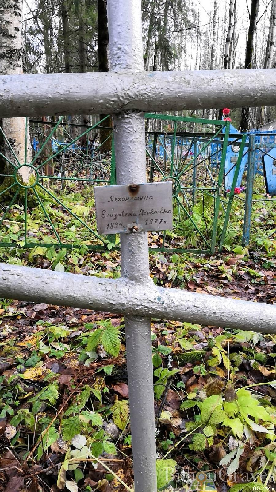 Мехоношина Елизавета Яковлевна