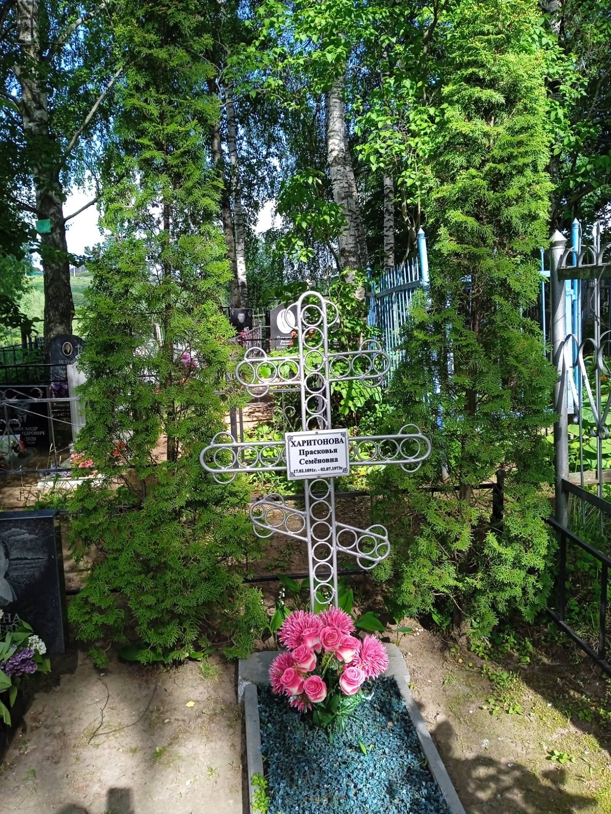 Харитонова Прасковья Семёновна