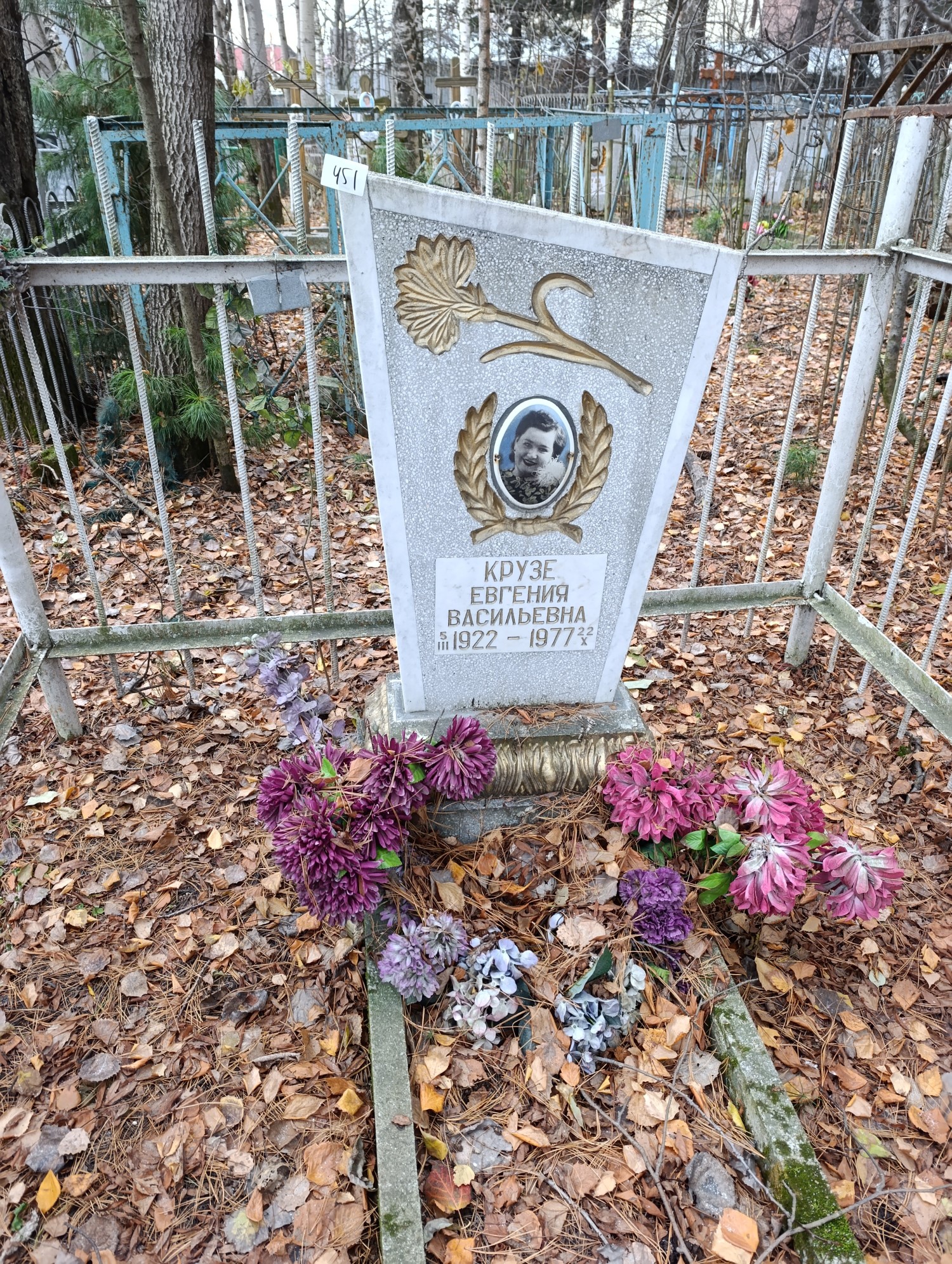 Крузе Евгения Васильевна